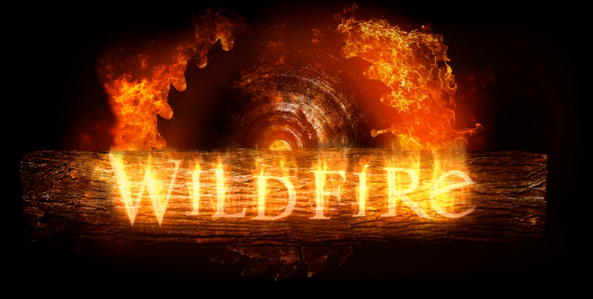 wildfire logo 1k